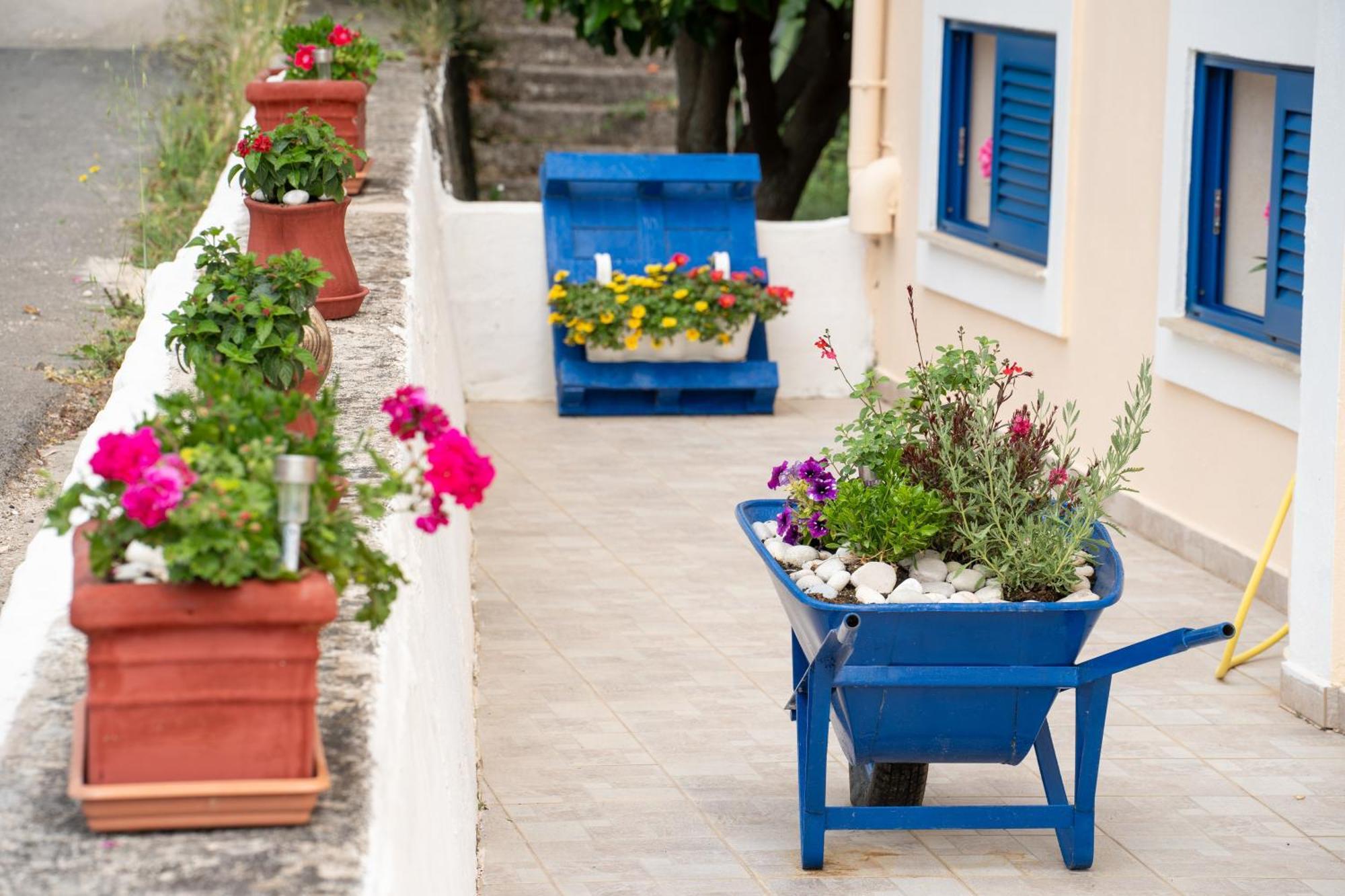 Nefeli Apartments Agia Efimia エクステリア 写真
